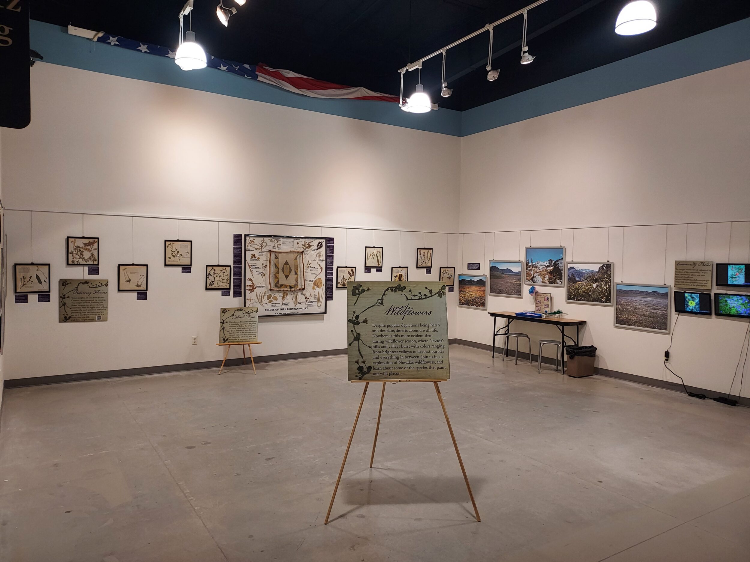 Image of a museum exhibit featuring framed photos and samples. In the center of the room sits a text panel on an easel with the title "Wildflowers"